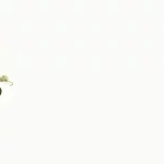 La méthode Skogluft : bénéficier de l’air des forêts chez soi