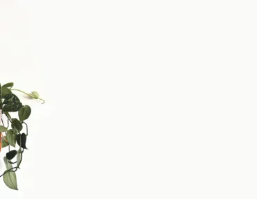 Cover_Blog_SkogluftOK_1024x1024