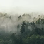 Le groupement forestier des Agittes, notre premier partenaire