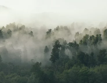 Cover_Blog_agittes_1024x1024