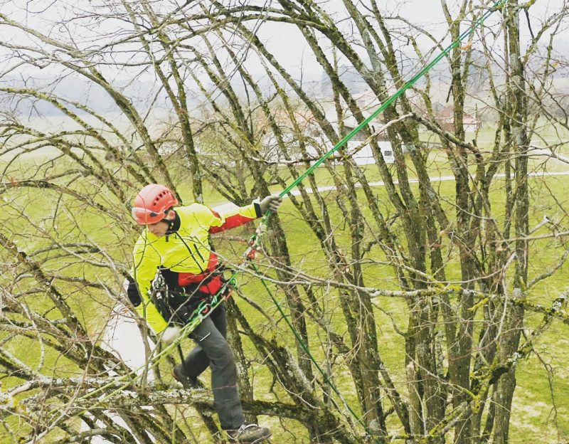 Formulaire_Page_Service